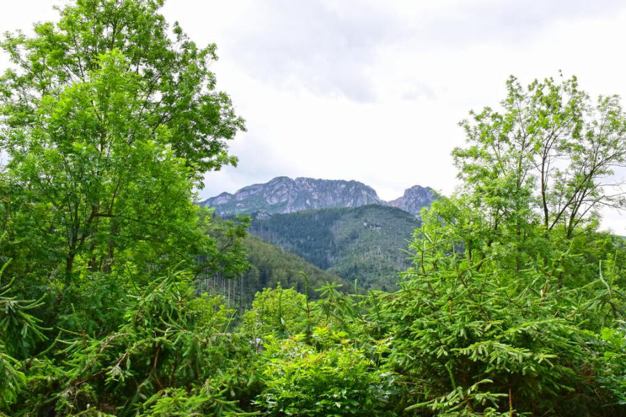 Willa Halka - izby pre hostí v centre Zakopaného 09